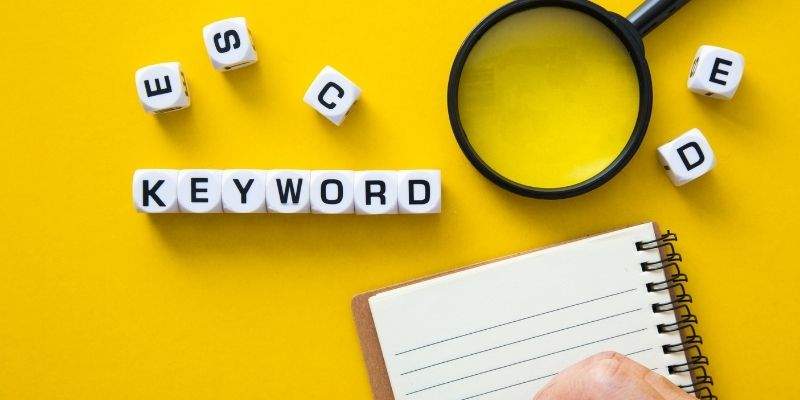 profesjonalne usługi SEO